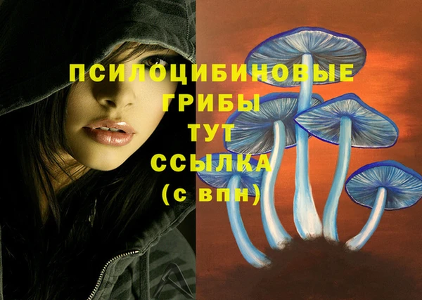 а пвп мука Вязники